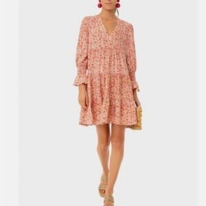Tuckernuck Pomander Place Savannah Floral Kenzo Mini Dress (Large)